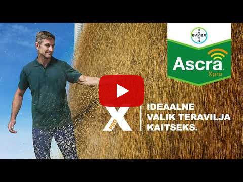 Ascra Xpro - Avage uks rikkaliku saagini // Põllumees Darius Bilskise kogemus