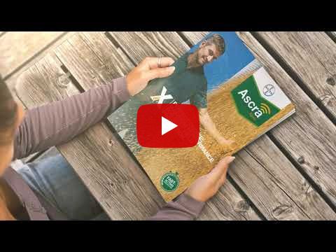 Ascra Xpro - Täiuslik haigustõrje teraviljadele