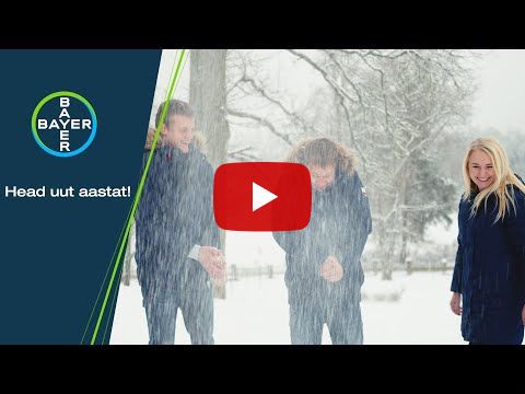 Bayeri aastalõputervitus