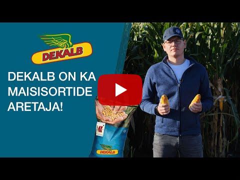 DEKALB on ka maisisortide aretaja!