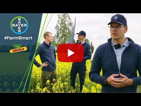 #FarmSmart / Dekalbi talirapsi sortide tugevused ja eripärad