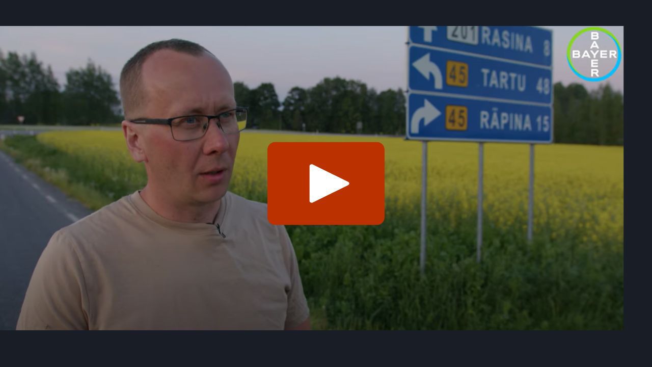 Haigustõrje rapsile