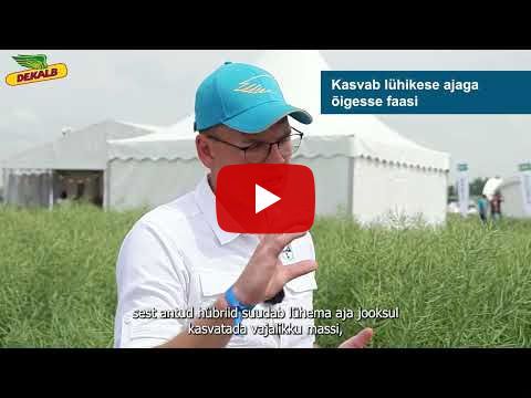 Miks tasub valida Dekalbi hübriidsort DK Expectation?