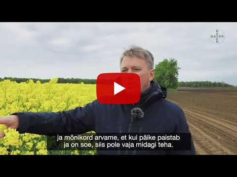 #Bayer24_7 // Põllumajandusuudised // Talirapsi kaitseks