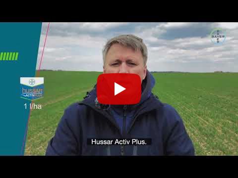 #Bayer24_7 // Põllumajandusuudised // Põllukultuuride kaitse umbrohtude eest kevade