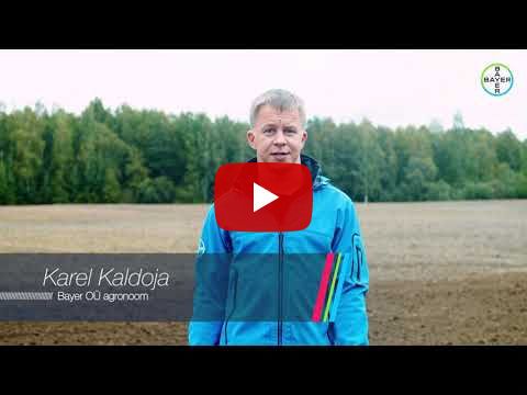 Sügisene taimekaitse teraviljale ja rapsile // Bayeri meeskonna tähelepanekud ja soovitused