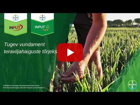 T1 pritsimine - Input ja Input Triple