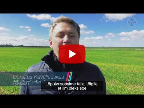 Bayeri lahendused kevadhooajaks // Taliteraviljale