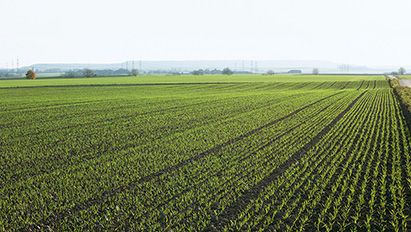 Sügisene umbrohutõrje - KOMPLET ja MATENO DUO